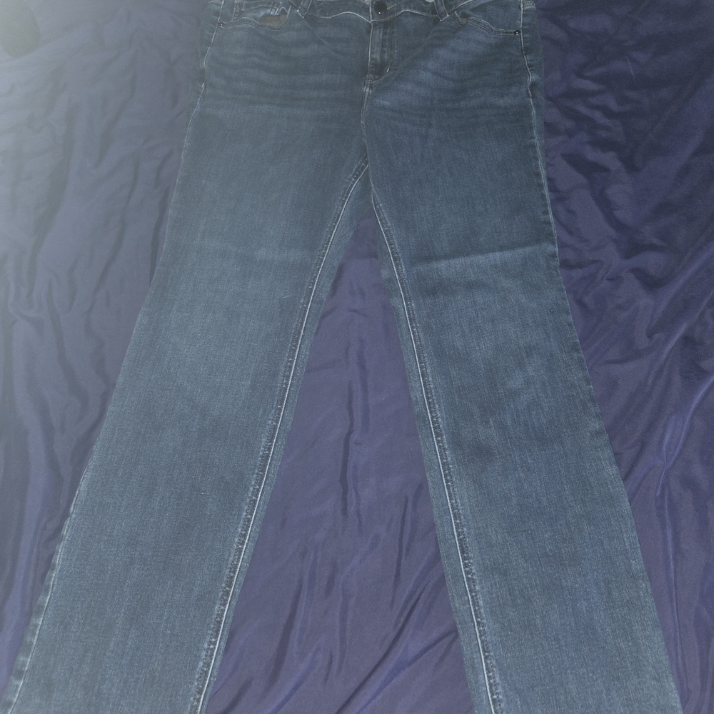 Lane Bryant Dark Blue Straight Leg Jeans